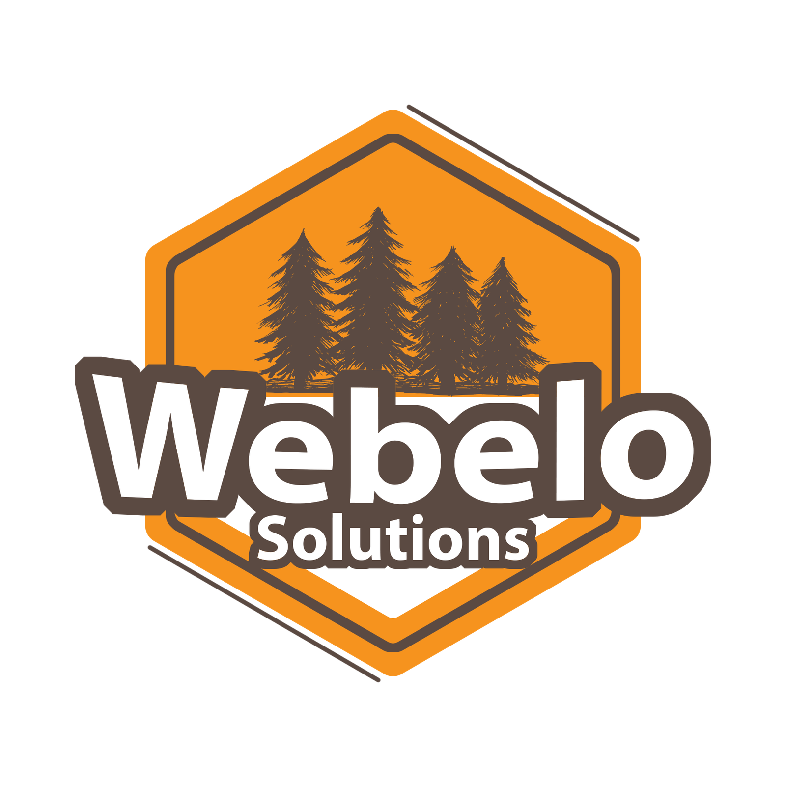 webelosolutions.com
