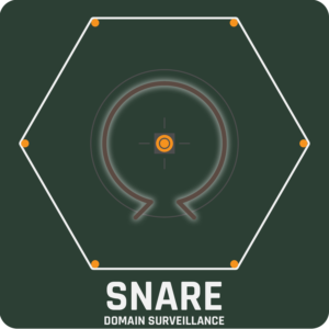 SNARE:  Surveillance of Newly-Registered and Rogue Entities
